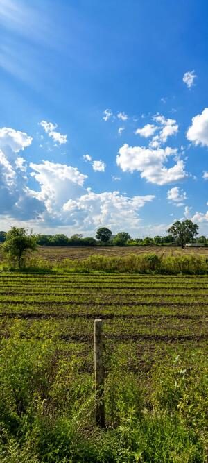 Commercial Land – photo 2