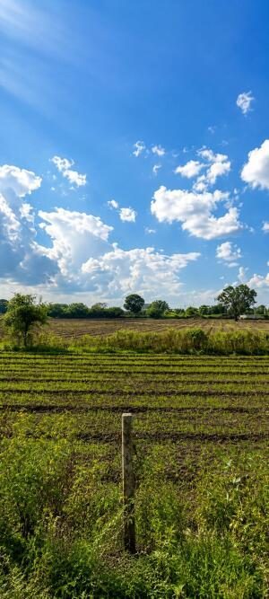 commercial Plot – photo 2