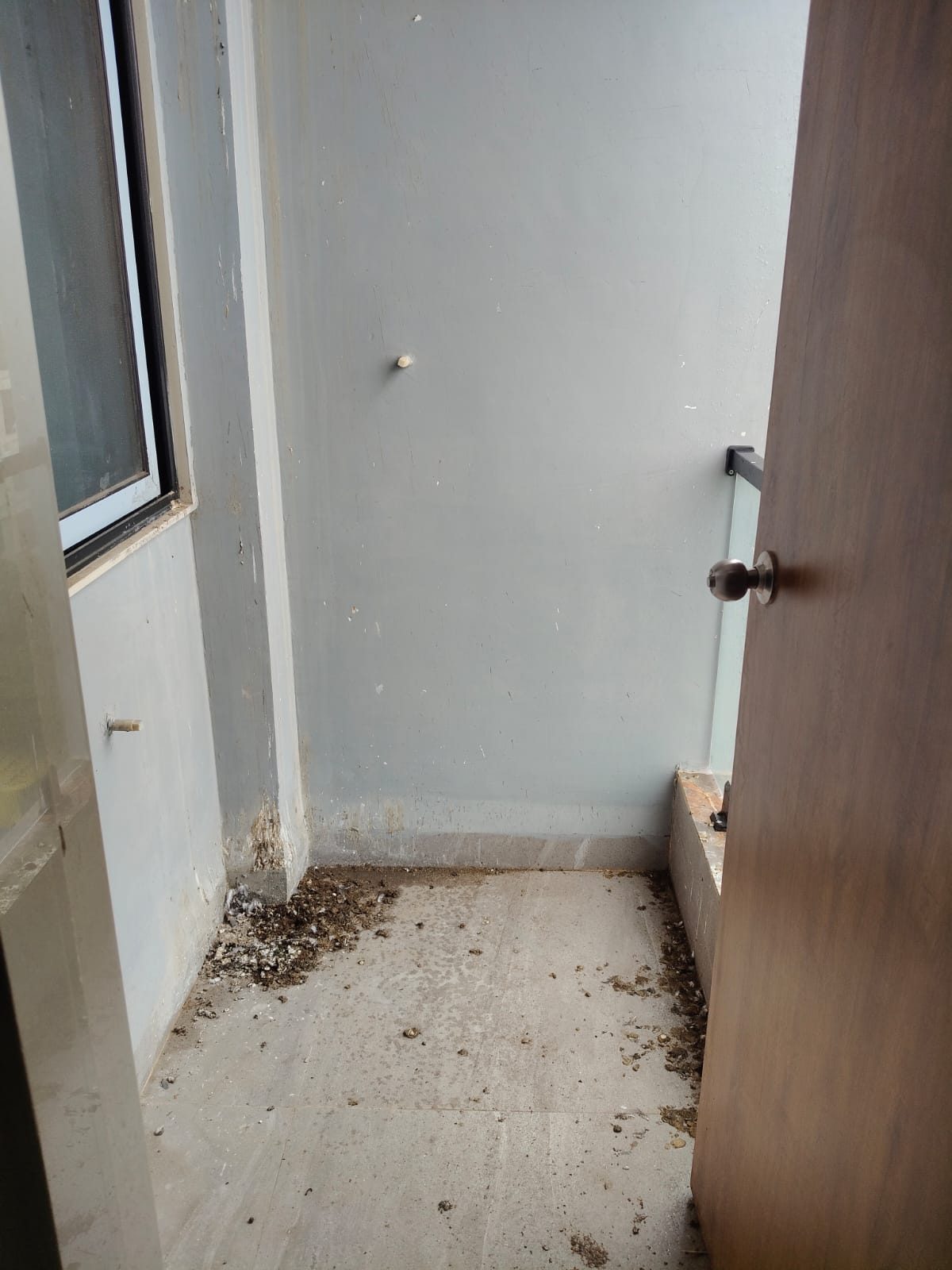 2 BHK Apartment in Nipania – photo 2